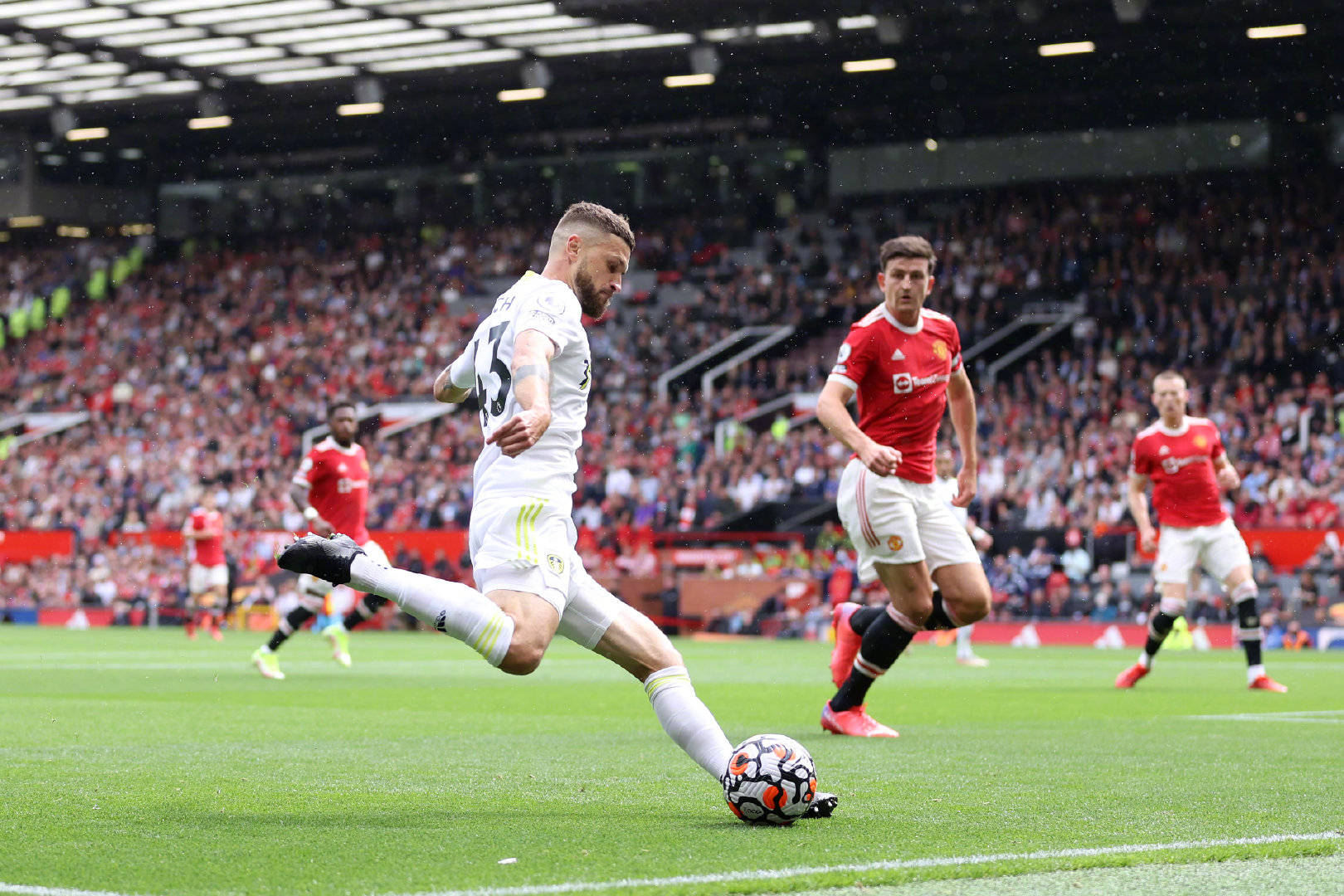 科雷亚的速 科雷亚的速