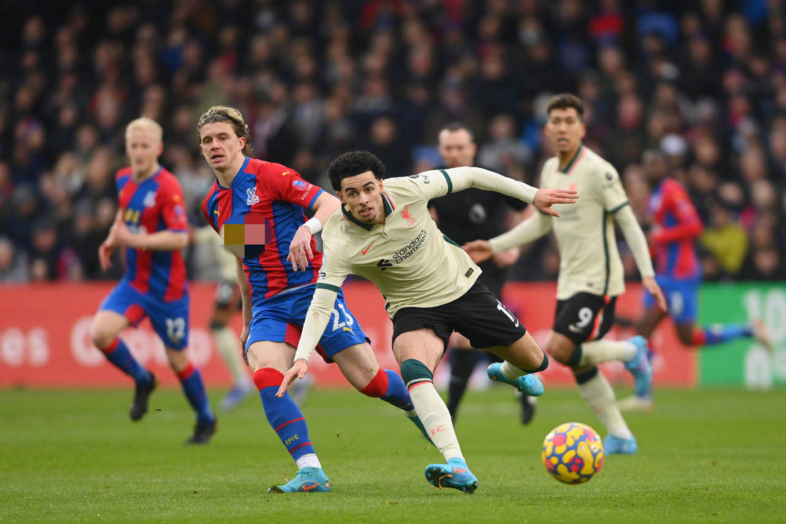 养和国际视 养和国际视